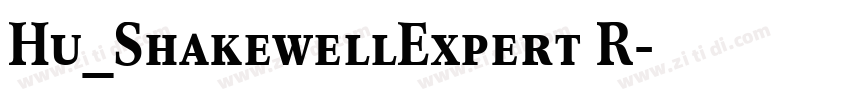 Hu_ShakewellExpert R字体转换